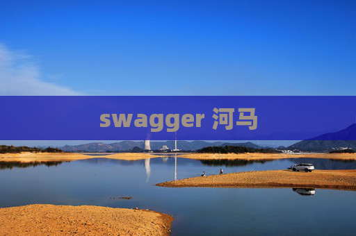 swagger 河马